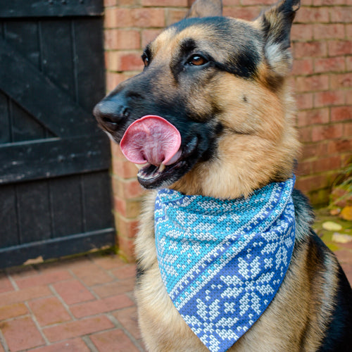 The Ralph Bandana