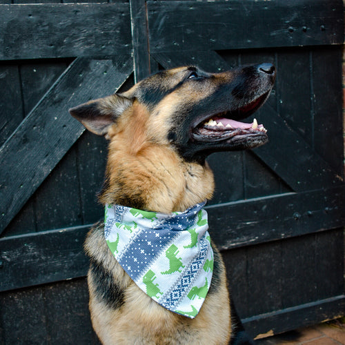 The Larry Bandana