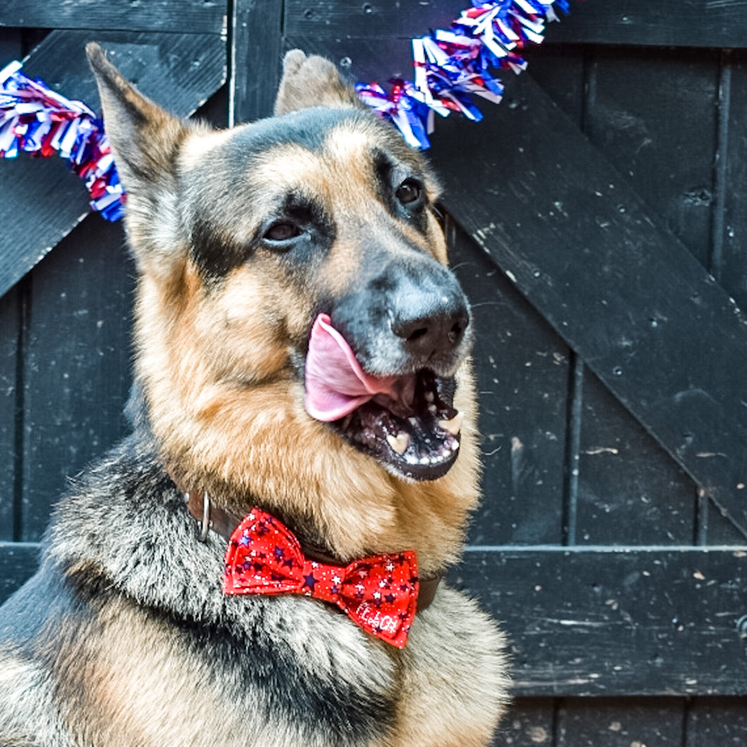 The Simba Bowtie
