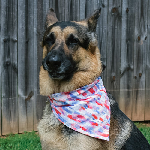 The Scarlet Bandana