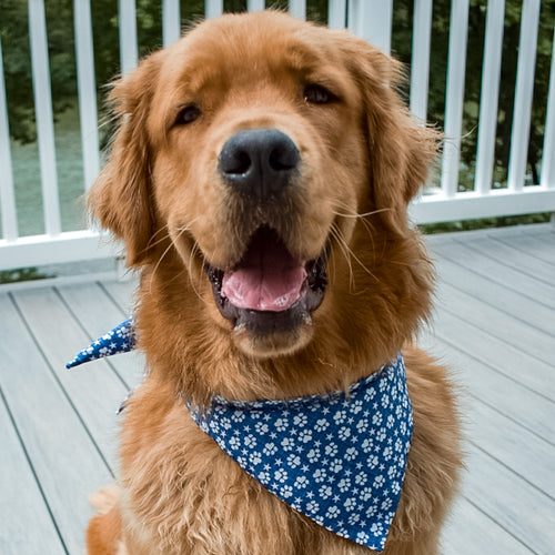 The Harris Bandana