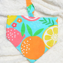 Load image into Gallery viewer, The Citrus Bandana