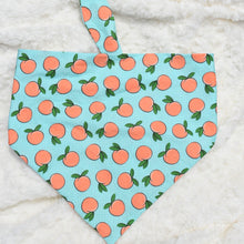 Load image into Gallery viewer, The Peach Bandana