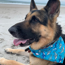 Load image into Gallery viewer, The Sharky Bandana