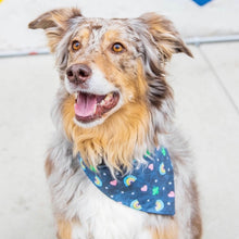 Load image into Gallery viewer, The Bailey Bandana