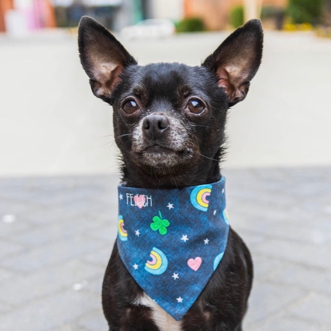 The Bailey Bandana