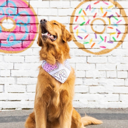 The Poptart Bandana