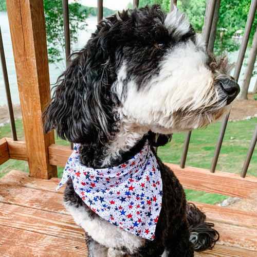 The Tea Bandana