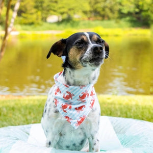 The Crabby Bandana