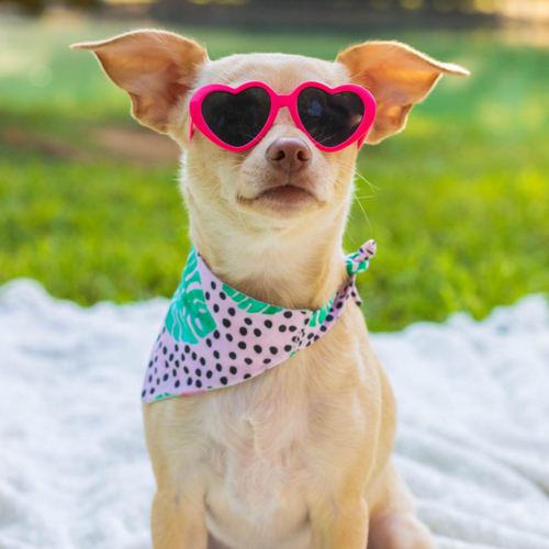 The Daisy Mae Bandana